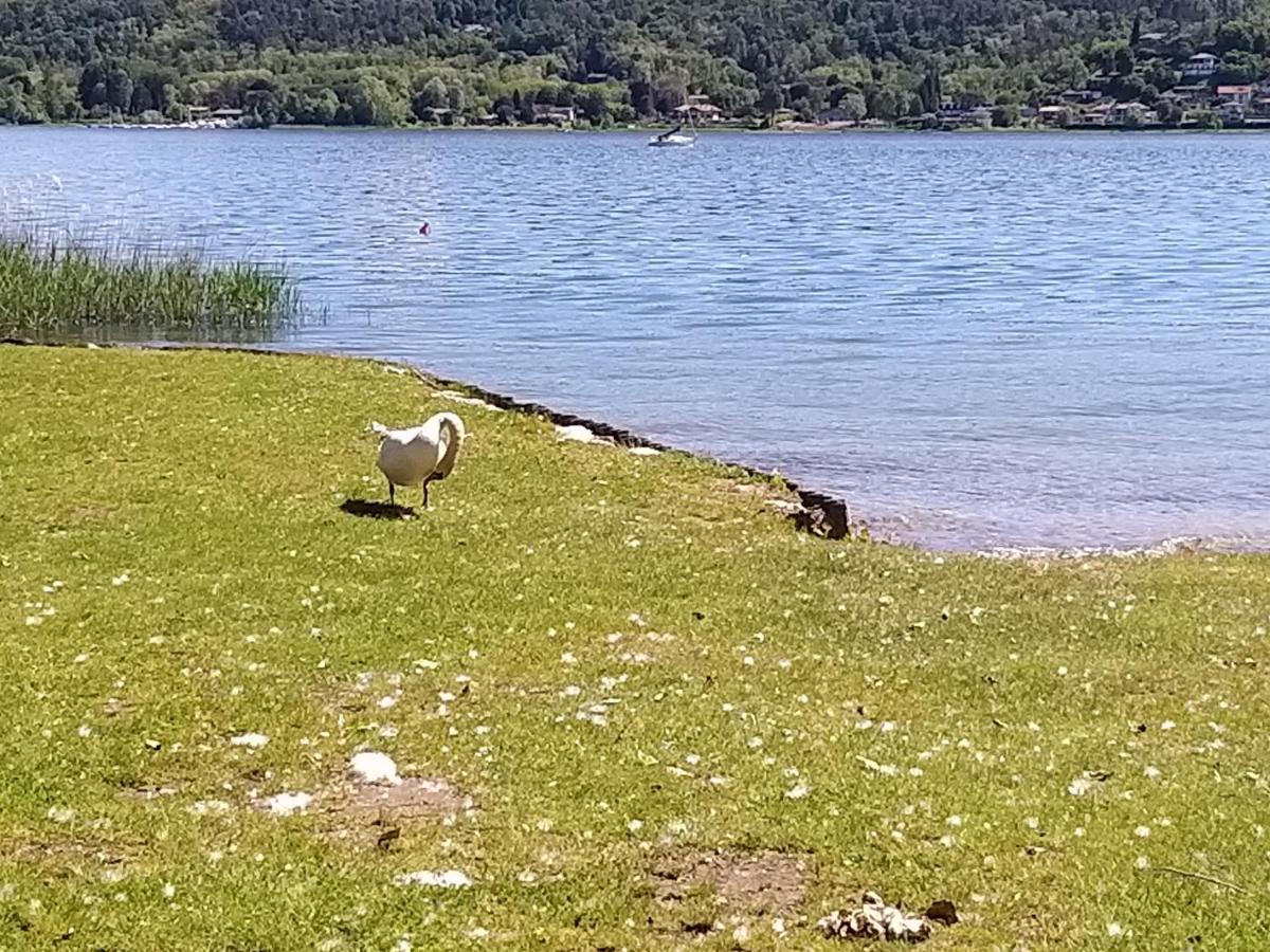 Ritratto Sul Lago ดอร์เมลเล็ตโต ภายนอก รูปภาพ