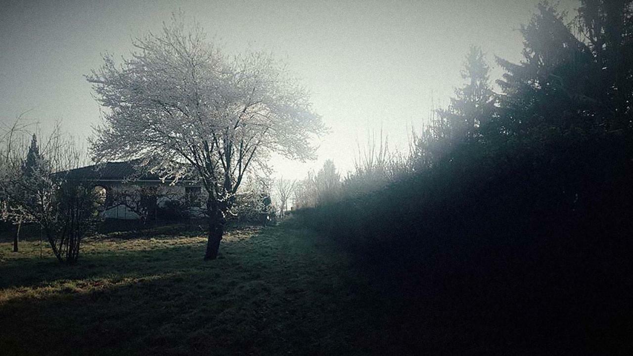 Ritratto Sul Lago ดอร์เมลเล็ตโต ภายนอก รูปภาพ