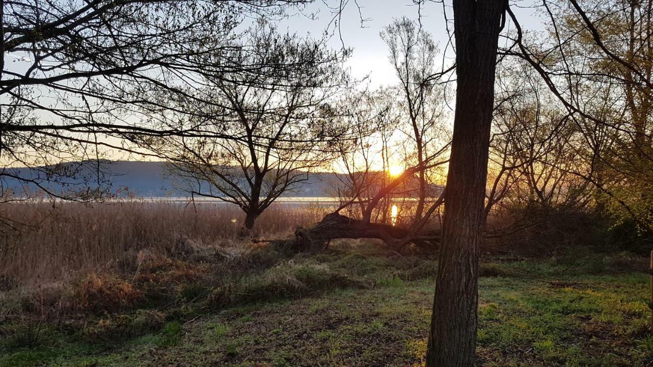 Ritratto Sul Lago ดอร์เมลเล็ตโต ภายนอก รูปภาพ